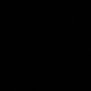 Meet your Posher, Reece